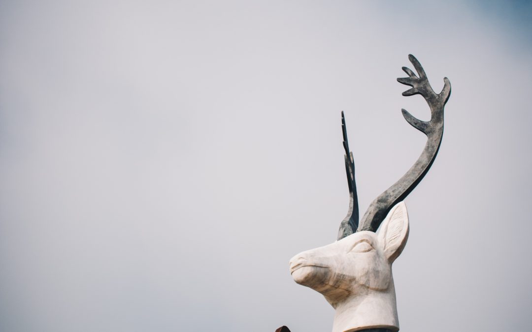 An act of courage: creating with or without confidence