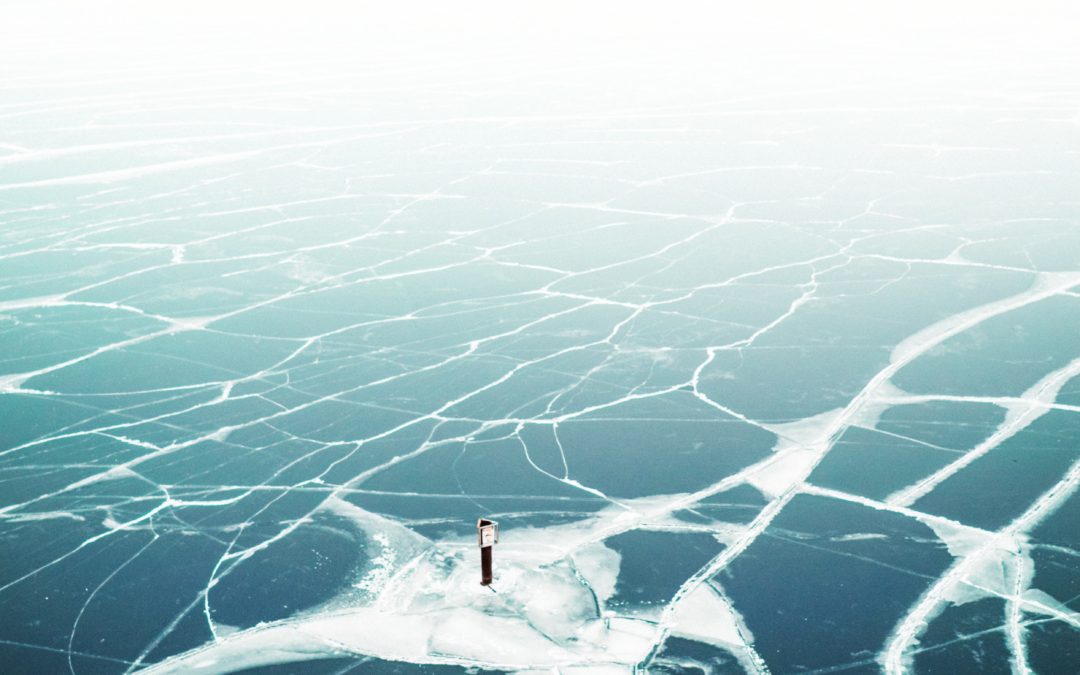How leaders need to work with disruption