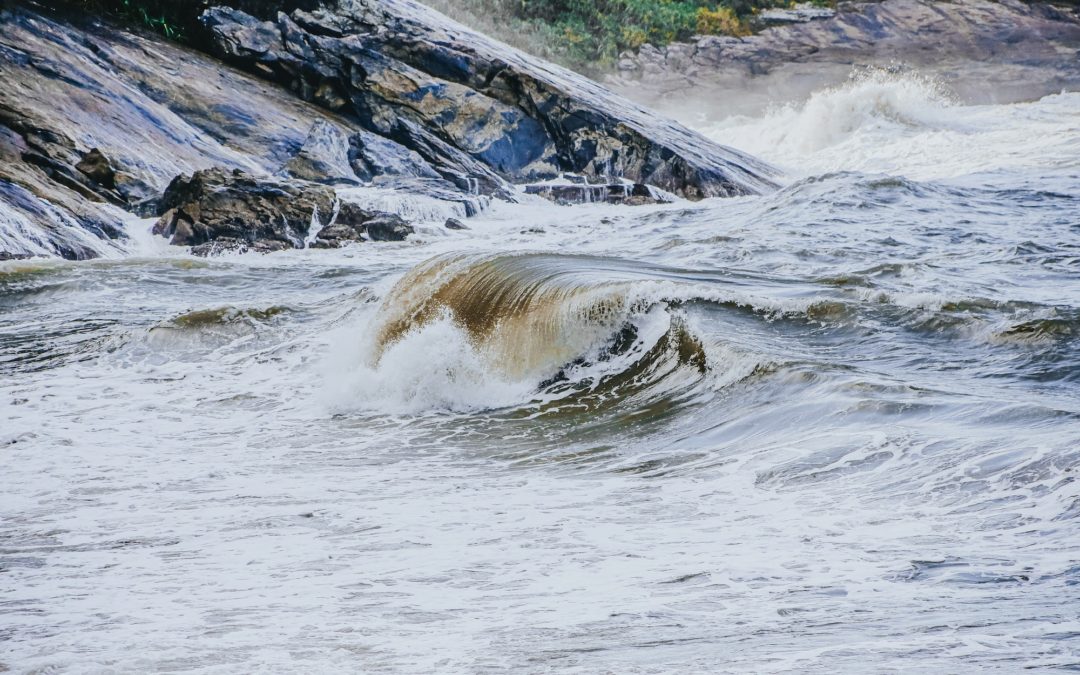 What overwhelm can teach leaders