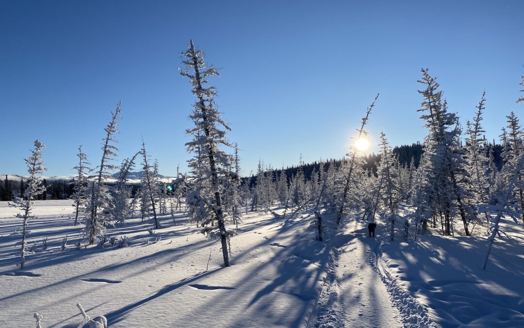 Jennifer England, writer, podcast host and leadership coach, uses the image of a flat, frozen lake to talk about the challenge of feeling "flat" and how to work with tough emotions.